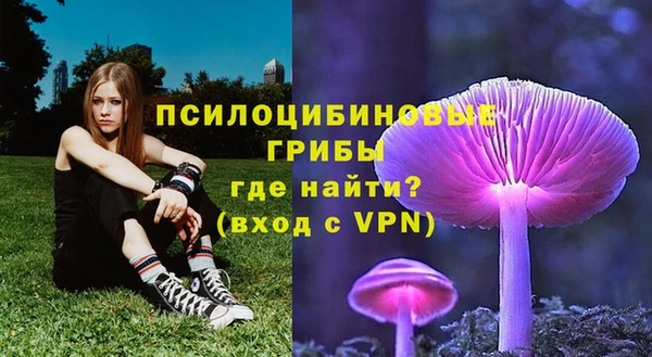 ПСИЛОЦИБИНОВЫЕ ГРИБЫ Алексин