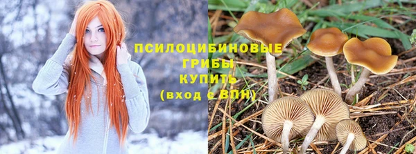 гидропоника Алзамай