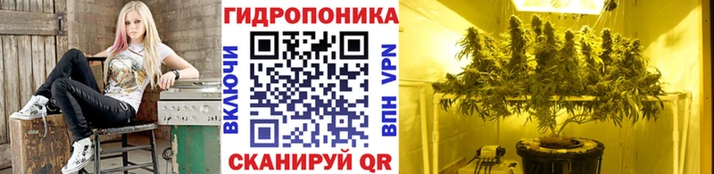 hydra ссылки  что такое наркотик  Арамиль  МАРИХУАНА индика 